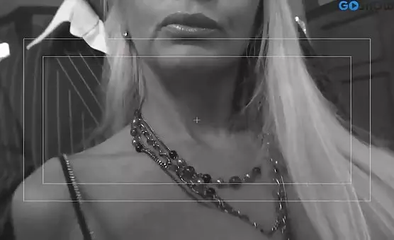 Swinging Elite Orgy Party Erotic Luxury Encounters